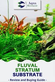 Fluval Stratum Review Good For Planted Tanks Aqua Movement Freshwater Aquarium Plants Planted Aquarium Plant Species