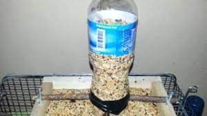 muhabbet kusu yemlik nasil yapilir youtube