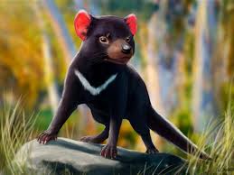 Waving skinny tasmanian devil #1210138 by cory thoman. Pin On Colorful Wallpaper