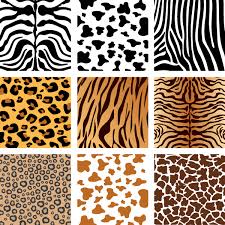 Animal Skin Textures 03 Download Vector Hayvan Baskilari Dokular Desenler