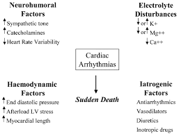Arrhythmias During Acute And Chronic Exercise In Chronic Heart Failure International Journal Of Cardiology