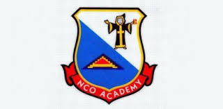 These guidelines are for ho. Ncoa Noncommissioned Officer Academy Air Force Trivia Questions Quiz Proprofs Quiz