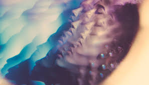 Check spelling or type a new query. 6 Steps To Recovering From Narcissistic Abuse