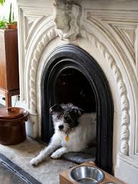 Maybe you would like to learn more about one of these? 15 Pet Nooks And Built Ins Hgtv