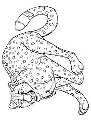 His body is slender, long legs, deep chest, his tail is long and he is light in weight, small round head, so he is able to run at a speed of 50 to 80 kilometers per hour. Print Coloring Image Momjunction Coloring Pages Baby Drawing Coloring Pages For Kids