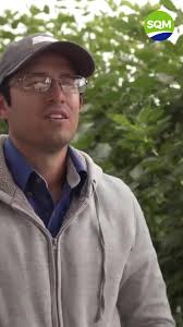 Beneficios de los Fertilizantes SQM en Cultivos de Berries