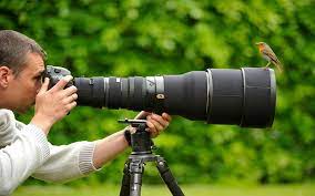 Birds Cameras Men Nature Photographers Wallpaper Nature Photographs Cute Animal Photography Wildlife Photography