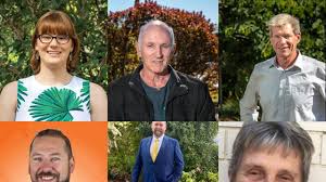 Final Pitch Lockyer Candidates Say Why You Should Vote For Them Queensland Times