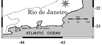 Image result for Syngonanthus longibracteatus