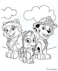 When mayor humdinger and his cousin ryder fall into the trap and steal the meteor to take over the city, the puppies must work. Paw Patrol Paw Patrol Coloring Pages Paw Patrol Coloring Paw Patrol Printables