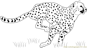 Cheetah Running Coloring Page Free Cheetah Coloring Pages Coloringpages101 Com Coloring Pages Easy Coloring Pages Bible Coloring Pages