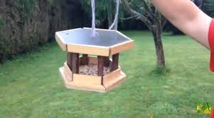 Le Chasseur Francais Suivez L Actualite Chasse Peche Et Vie De Nos Campagnes Avec Les Journalistes Du Chasseur Francais Mangeoire Oiseau Mangeoire Maison Oiseaux