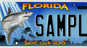How do i get a license tag in florida? Florida License Plates Here Are Swfl S Most Popular For 2018