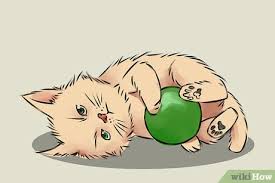Cara menggambar kucing for android apk download. 4 Cara Untuk Menggambar Anak Kucing Wikihow