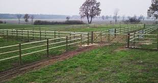 Pin Auf Aktuelle Zaunbau Projekte