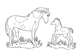 Pferd Mit Fohlen Malvorlagen Fohlen Vorlagen