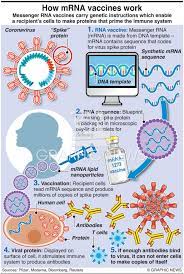 Check spelling or type a new query. Health How Mrna Vaccines Work Infographic