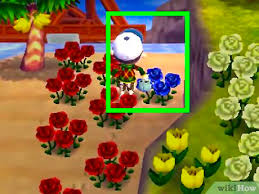 Hybrid red roses typically come from a cross between orange. How To Get Blue Roses And Purple Pansies In Animal Crossing New Leaf