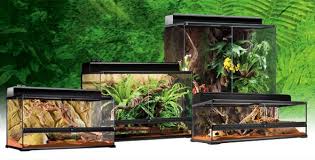 Exo Terra Natural Terrarium Large Advanced Reptile Habitat Reptile Habitat Glass Terrarium Terrarium For Sale