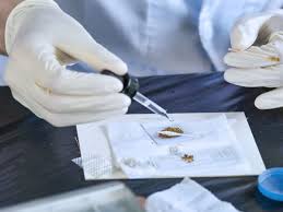 PARASITOSES (e exame parasitológico de fezes)