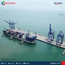 This program can assist you in choosing the jobs we provide for your interests and expertise. 6 Mahasiswa Umrah Lolos Seleksi Magang Bersertifikat Pt Pelindo I Universitas Maritim Raja Ali Haji Umrah