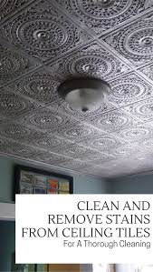 Clean And Remove Stains From Ceiling Tiles For A Thorough Cleaning Ceiling Tiles Cleaning Stain Remover