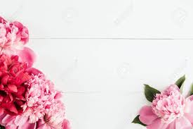 Senza cornice fiori di peonia fiore di rosa pittura by numbers still life vaso senza cornice,acquista da rivenditori in cina e in tutto il mondo. Fresh Peonies Flowers Frame On White Wooden Background Copy Stock Photo Picture And Royalty Free Image Image 59810565