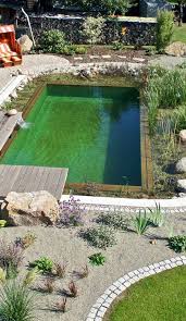 17 Family Natural Swimming Pools You Want To Jump Into Immediately Natural Swimming Pools Natural Pool Swimming Pool Pond