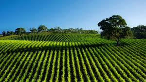 The latest architecture and news. Fertikal Is A Leading Producer Of Organic And Organo Mineral Fertilizers Fertikal