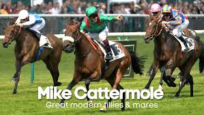 When you know better than others and harness your skills, the opportunity of career development as … Sporting Life Racing Quiz Part 1 Test Your Racing Knowledge In Mike Vince S Horse Racing Quiz