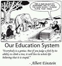 Everybody Is A Genius Albert Einstein Quote Education System Education Quotes Teacher Humor