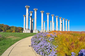 Dc gardens is a nonprofit campaign to promote public gardens and gardening in the washington, d.c. Beautiful Gardens You Have To Visit In Dc