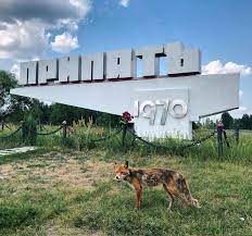 Некоторые даже берутся за кисть с краской. Pripyat Segodnya Foto Novosti