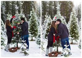 In addition, if you're looking for a place to take some. Green Bluff Christmas Tree Shoot By 2ee S Photography Apple Brides Cute Photography Christmas Tree Farm Spokane Weddings