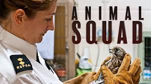 Prime Video: The Dog Rescuers