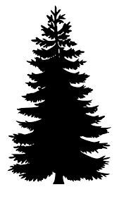 Maybe you would like to learn more about one of these? Christmas Tree Png Trick Tree Stencil Silhouette Clip Art Pine Tree Silhouette