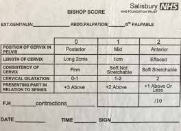Image result for Bishop Score