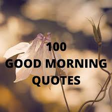 And spreading positive vibes every morning with so, here is a collection of funny and cute gud mrng quotes and hd images for facebook, whatsapp, instagram, and more social media forums. 115 Good Morning Quotes Sayings With Charming Images