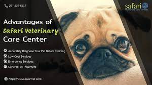 John for bringing vinci, my 13 year old cat, back to health and to me. Advantages Of Safari Veterinary Care Center Veterinary Clinic Near Me 2020