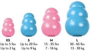 Kong Puppy Dog Toy Color Varies Small