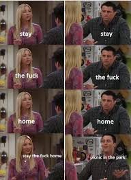 Picnic In The Park Phoebe Teaching Joey Joey And Phoebe Picnic In The Park Memes