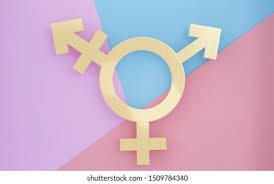 Characters and symbols on computers. Transgender Symbol Abstract Male Female 3d Stock Illustration 1509784340