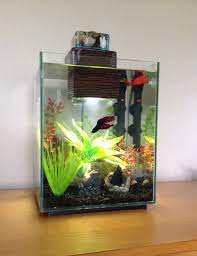 My 5 Gallon Betta Tank Setup Fish Tank Betta Fish Tank Cool Fish Tanks