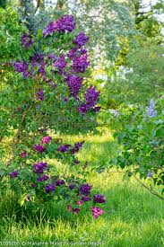 Pin On Garden Notions