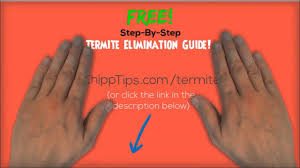 Since termites live underground, there are two options for treatment. How To Get Rid Of Termites Yourself Best Treatment For Getting Rid Of Termites Youtube