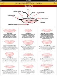 chinese face reading chart google search hand face