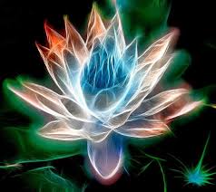 She also hosts 1:1 classes on request, if you're interested in a 1:1 class, get in touch on the 'contact' page. Yoga In Norwich Norfolk Nr2 1 Find Yoga Classes Near You Yogahub