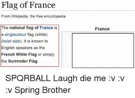 Видео white flag meme ч.о канала машка милашка :3. 25 Best Memes About French White Flag French White Flag Memes