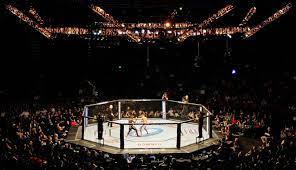 Mixed Martial Arts | Britannica