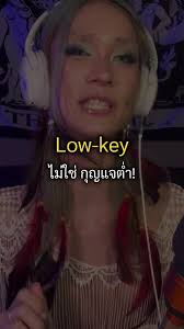 ความหมายของ lowkey ในภาษาอังกฤษ